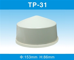 TP-31